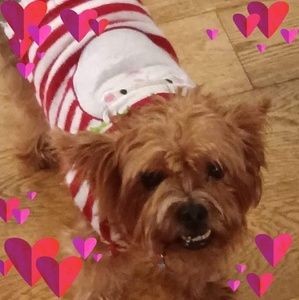 Meet your Posher, Tammy